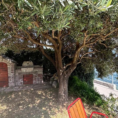 Vila Jadranka Apartments Herceg Novi Exterior foto