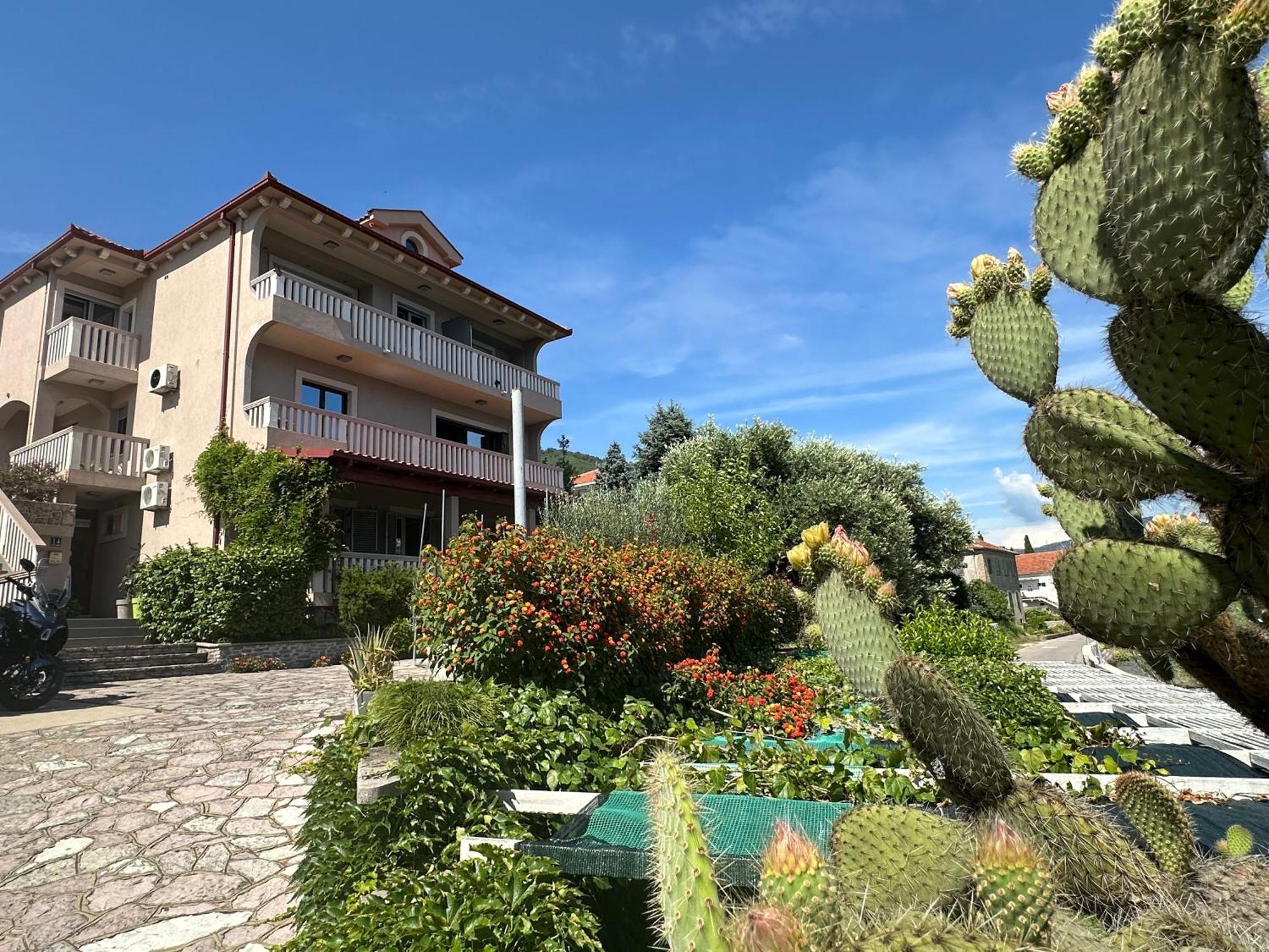 Vila Jadranka Apartments Herceg Novi Exterior foto